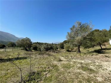 Building land for sale in Plataria