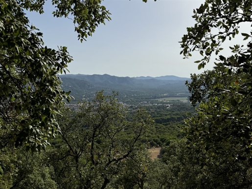 Αγορά : Οικόπεδο (17246)