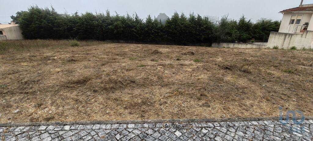 Aankoop: Terrein (3260)