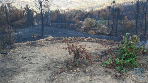 Terrain à Montes da Senhora de 4250,00 m²