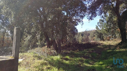 Boden in Castanheira de Pêra, Leiria