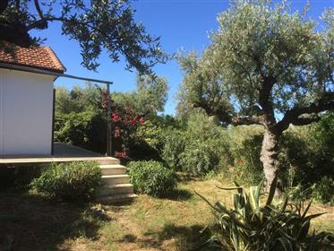 Detached house in secluded olive grove, Stoupa, The Mani, 2 minutes from Kalogria Beach