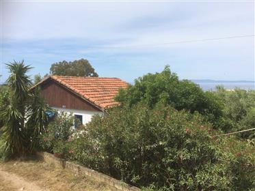 Самостоятелна къща в уединена маслинова горичка, Ступа, Мани, на 2 минути от плажа Калогрия