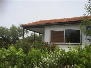 Самостоятелна къща в уединена маслинова горичка, Ступа, Мани, на 2 минути от плажа Калогрия
