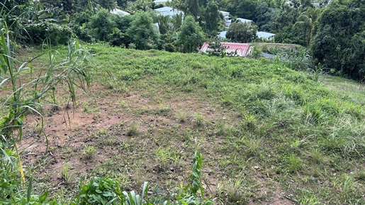 Terrain constructible situé à la périphérie du sud Caraïbe et atlantique proche de la route communal