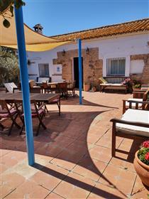 Spacious Andalucian Cortijo With Large Private Pool Surrounded By Orange Groves