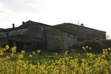 Historisk gård nær Siena 