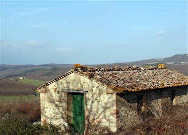 Historisk gård nær Siena 