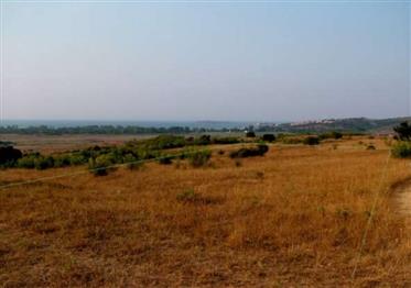 قطعة أرض في منطقة بورغاس سوزوبول