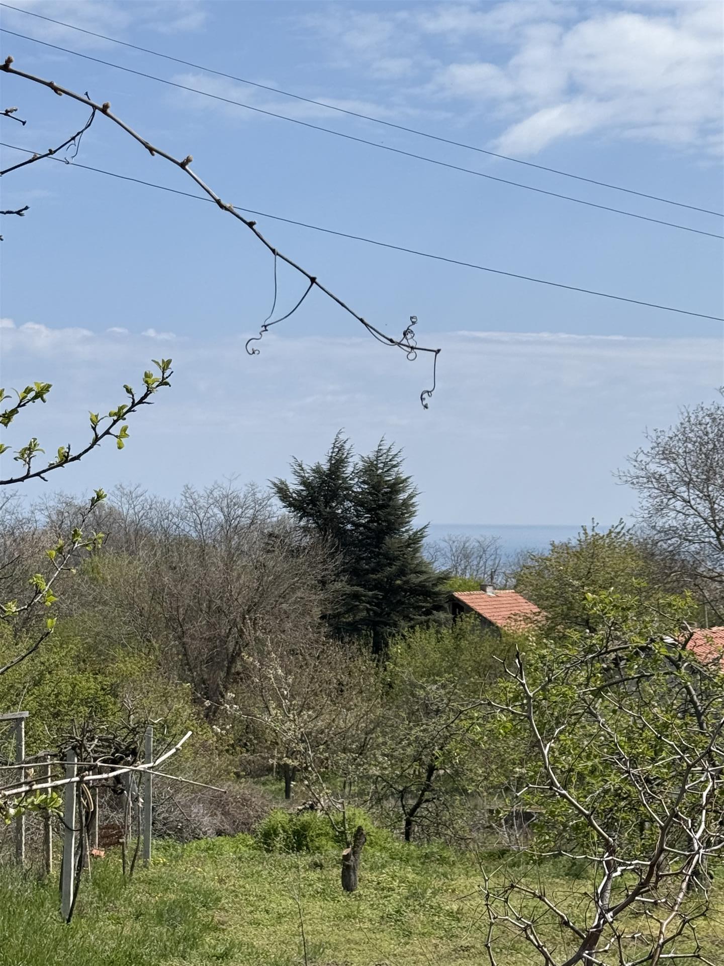 Industritomt i Devnya-Bulgarien