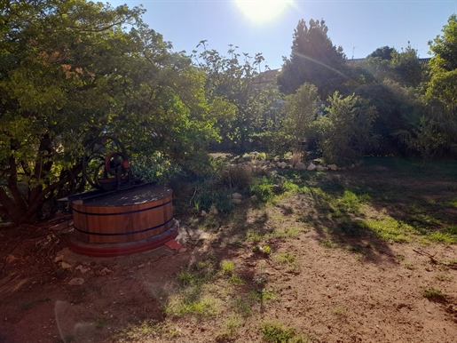 Grande vigneronne rénovée avec grange et jardin - Gros potenti