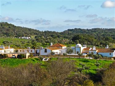 Homeland With Luxurious Country House In Evora District