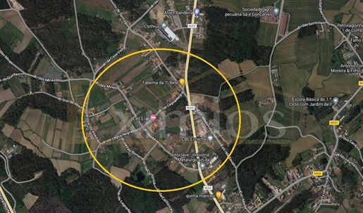 Real estate land Sell in Barqueiros,Barcelos
