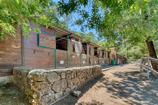 Valbonne - Charming equestrian property with farmhouse and mill
