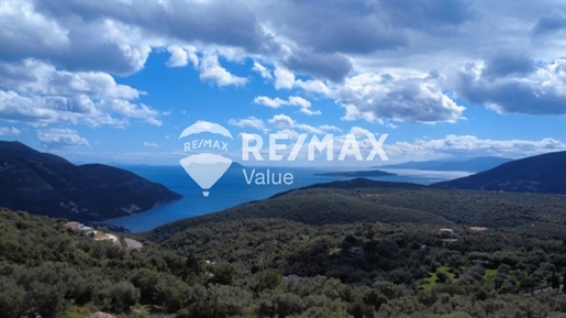 Advert picture