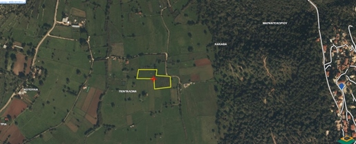 Agricultural, 4005 sq, for sale