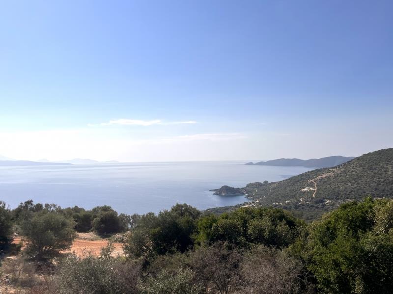 Agricultural, 4200 sq, for sale