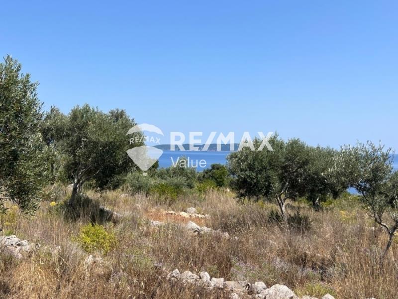 Agricultural, 11700 sq, for sale