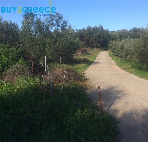 (For Sale) Land Agricultural Land || Corfu (Kerkira)/Thinalio - 30.000 Sq.m, 450.000€