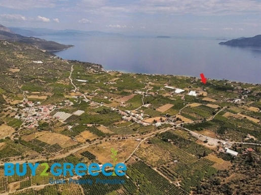 (Zu verkaufen) Nutzbares Grundstück || Präfektur Argolida/Epidaurus - 1.560 m², 165.000€