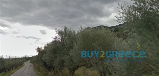 (Zu verkaufen) Nutzbares Grundstück || Präfektur Lakonien/Mystras - 8.009 m², 250.000€