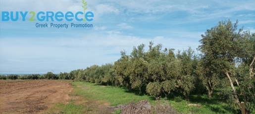 (Zu verkaufen) Nutzbares Grundstück || Präfektur Messinien/Kyparissia - 2.560 m², 50.000€