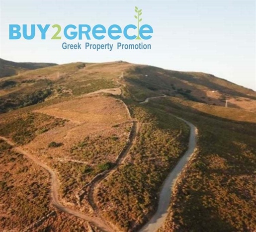 (For Sale) Land Plot wIthin Settlement || Cyclades/Andros Chora - 12.390 Sq.m, 150.000€