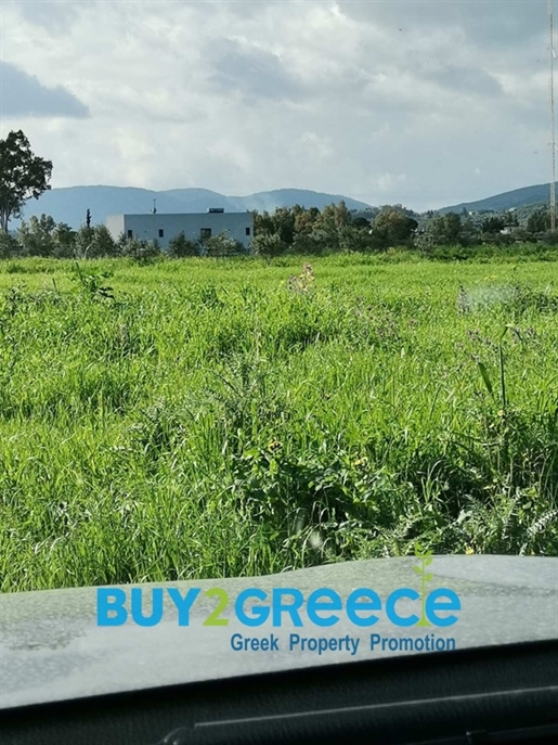 (À vendre) Parcelle de terrain utilisable || Préfecture de Zakynthos/Ville de Zakynthos - 13.675 m²