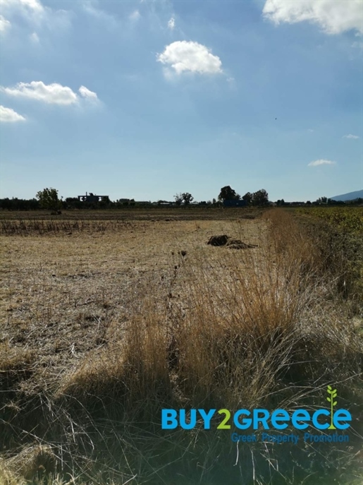 (Te koop) Bruikbare grond Perceel || Prefectuur Zakynthos/Zakynthos-stad - 13.675 m², 188.000€