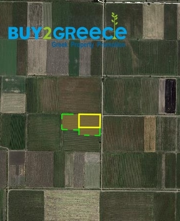 (For Sale) Land Agricultural Land || Voiotia/Orchomenos - 20.000 Sq.m, 45.000€