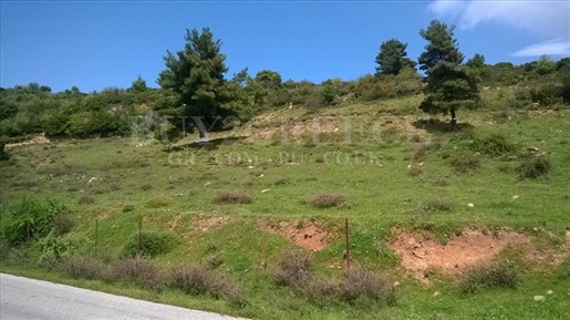 (For Sale) Land Agricultural Land || Evoia/Amarynthos - 4.180 Sq.m, 25.000€