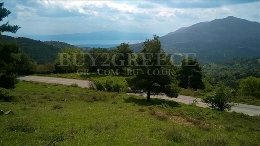 (For Sale) Land Agricultural Land || Evoia/Amarynthos - 4.180 Sq.m, 25.000€