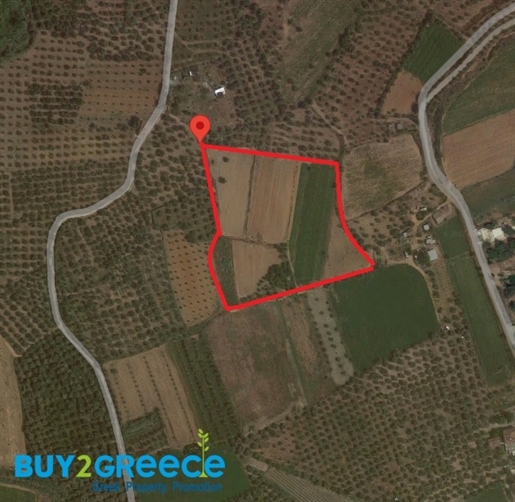 (Zu verkaufen) Nutzbares Grundstück || Präfektur Messinia/Messini - 17.371 m², 1.200.000€