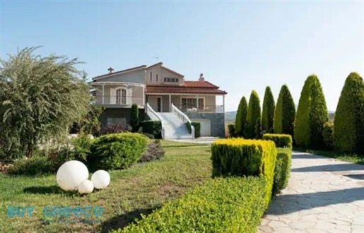 (Zu verkaufen) Wohnvilla || Präfektur Korinthias/Assos-Lechaio - 421 m², 6 Schlafzimmer, 650.000€