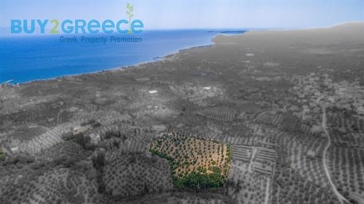 (À vendre) Terrain utilisable || Préfecture de Messénie/Epia - 13.795 m², 150.000€
