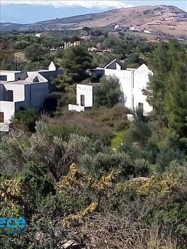 (Te koop) Commercieel vastgoed Commercieel vastgoed || Rethymno/Prefectuur Rethymno - 5.000 m², 3.0