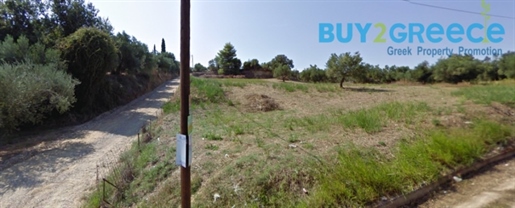 (À vendre) Terrain utilisable || Préfecture d’Ilia/Pyrgos - 4.080 m², 116.000€