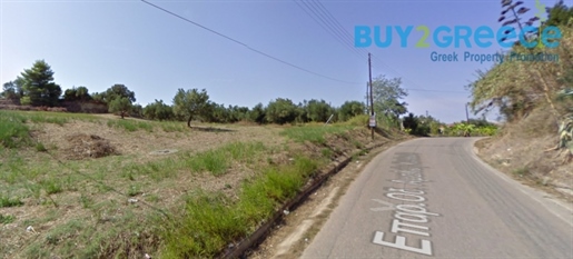 (For Sale) Land Plot || Ileias/Pyrgos - 4.080 Sq.m, 116.000€