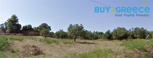 (Zu verkaufen) Nutzbares Grundstück || Präfektur Ilia/Pyrgos - 4.080 m², 116.000€