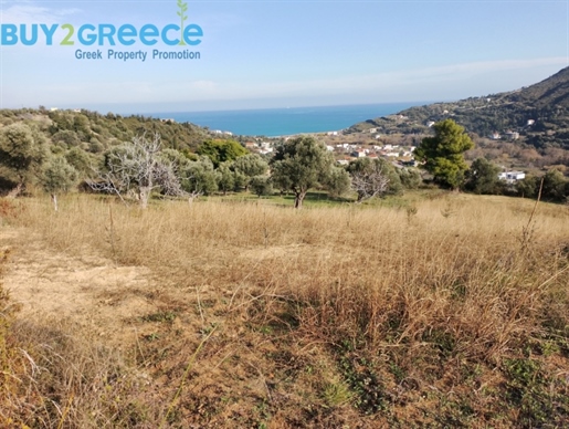 (For Sale) Land Agricultural Land || Evoia/Kymi - 2.270 Sq.m, 47.000€