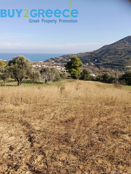 (For Sale) Land Agricultural Land || Evoia/Kymi - 2.270 Sq.m, 47.000€