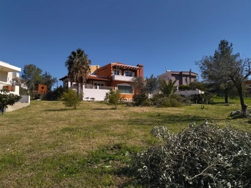 (Zu verkaufen) Wohnvilla || Dodekanes/Kos Chora - 500 m², 4 Schlafzimmer, 450.000€