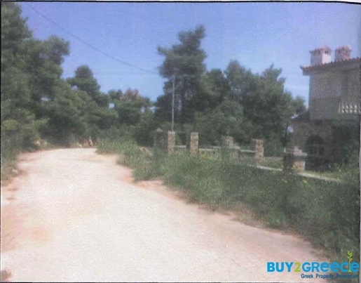 (Zu verkaufen) Nutzbares Grundstück || Ost-Attika/Afidnes (Kiourka) - 2.000 qm, 102.000€