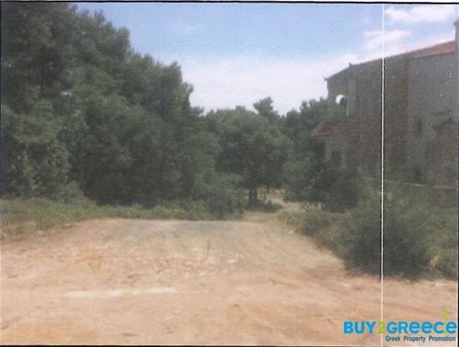 (For Sale) Land Plot || East Attica/Afidnes (Kiourka) - 2.000 Sq.m, 102.000€