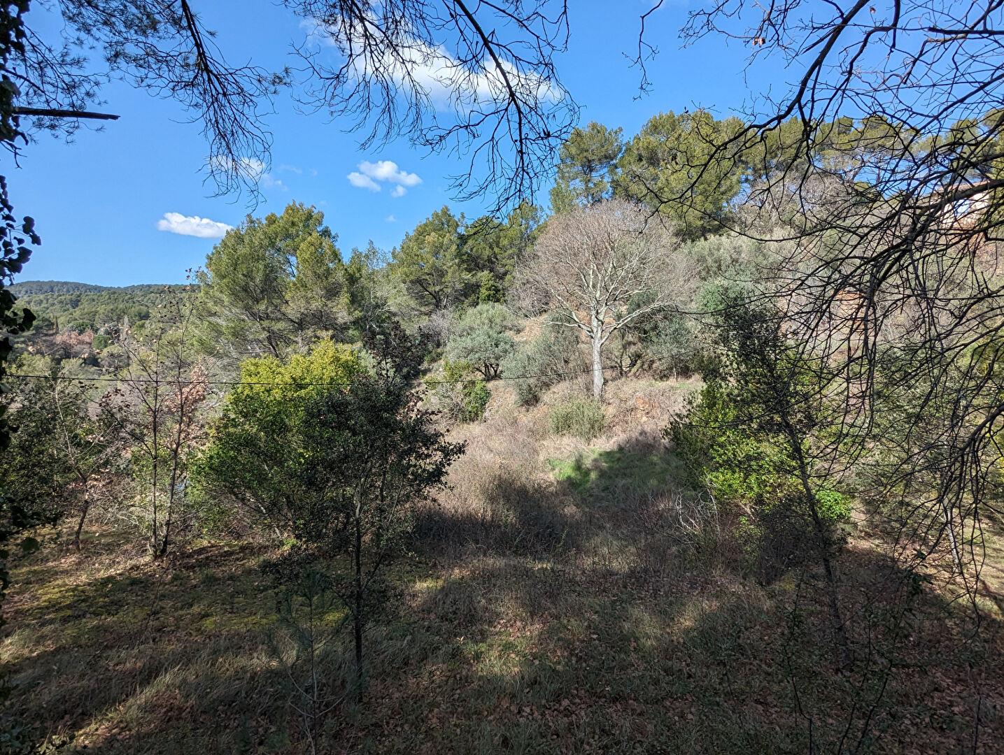 Salernes, wooded land of 3,586 m² terraced, irrigation canal