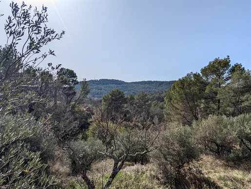 Salernes, wooded land of 3,586 m² terraced, irrigation canal