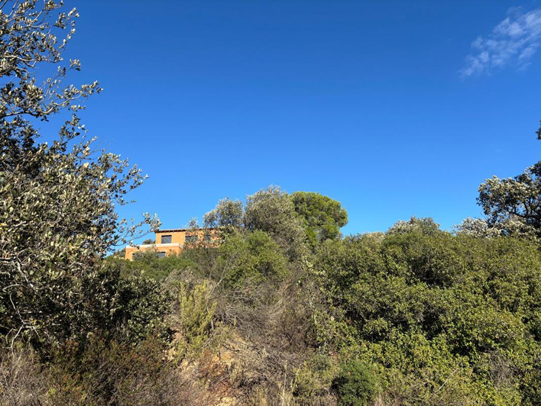 Building plot - Saint André De Roquelongue -1002 m2 -149 800 Hai