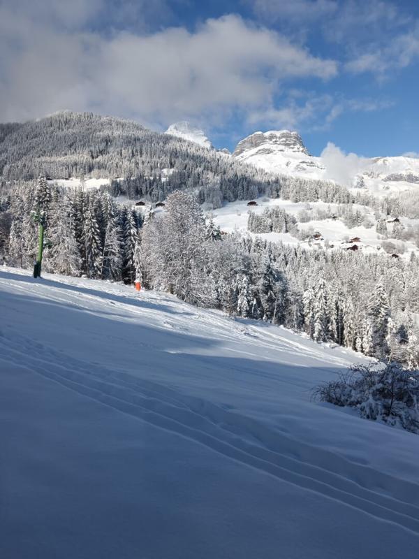 Appartement à vendre, 24m², Cordon