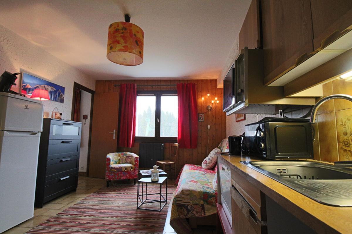 Appartement à vendre, 24m², Cordon