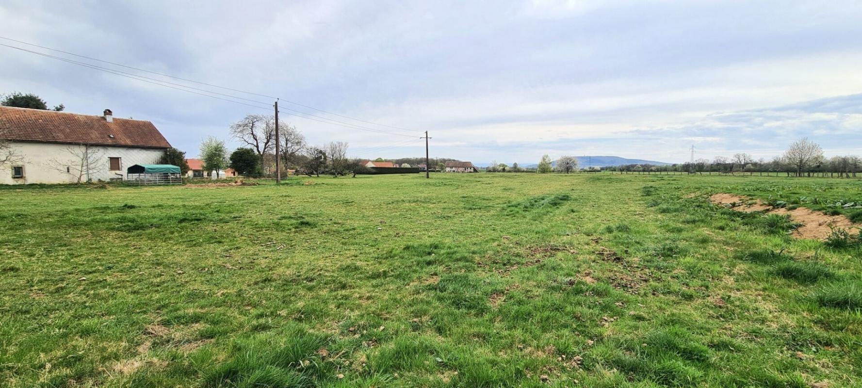 Compra: Terreno (90200)
